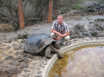 Yksi saaren valtavista kilpikonnista.