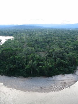 N&auml;kym&auml; viidakkoon kuistilta.