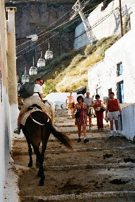 Soila aasin sel�ss�.