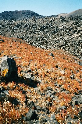 Maisemakuva tulivuorisaarelta.