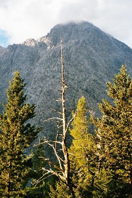 Milja minigolffaamassa.