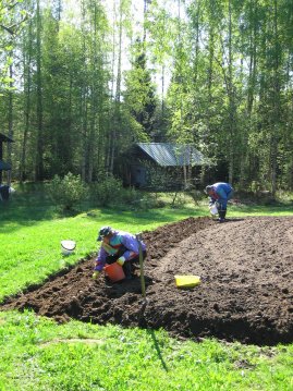 &Auml;iti ja is&auml; perunapellolla.