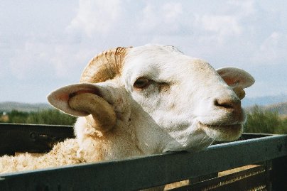 P�ssi auton kyydiss�.